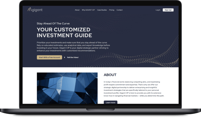 itexus portfolio case